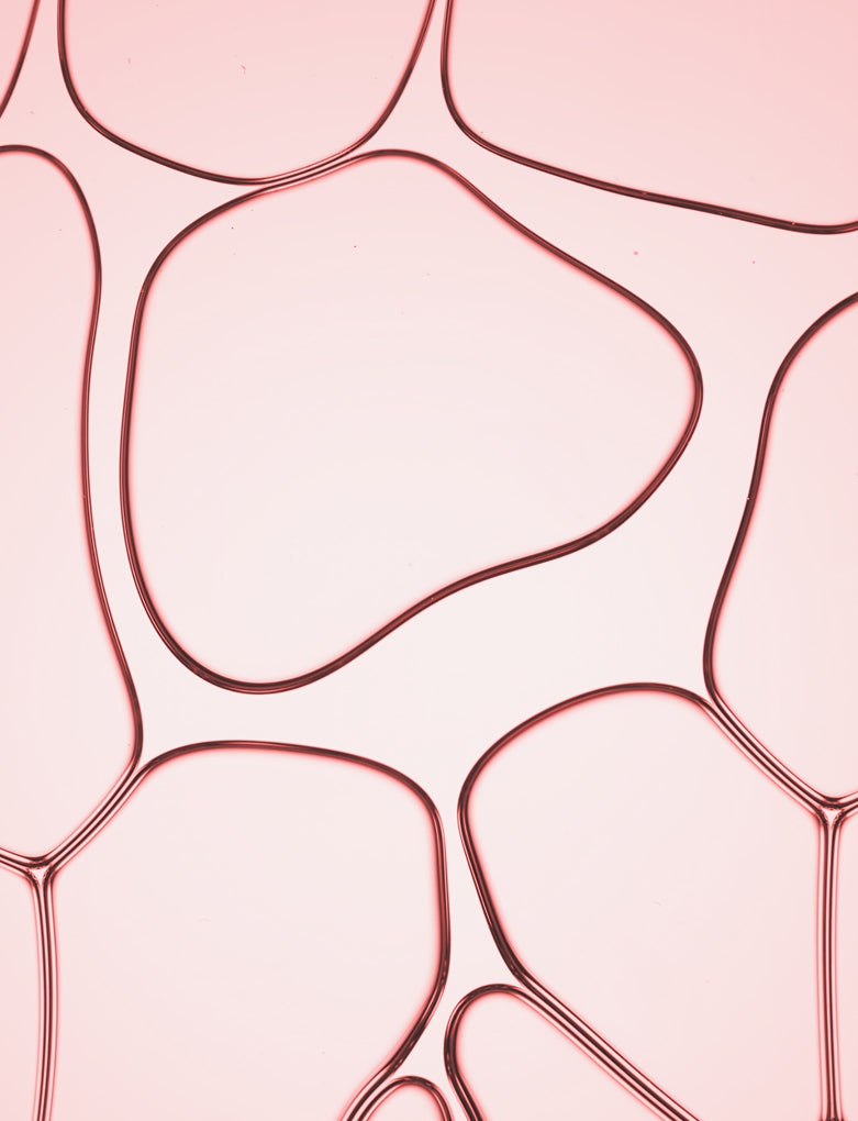Complexe d’extrait d’algues rouge & pullulan