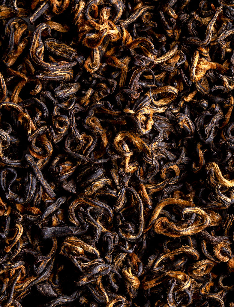Ferments de Thé Noir